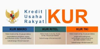 Apa itu KUR